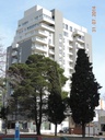 Bucaré Plaza Cochera